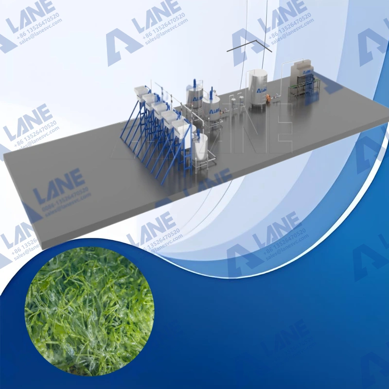 Seaweed Liquid Fertilizer Production Line